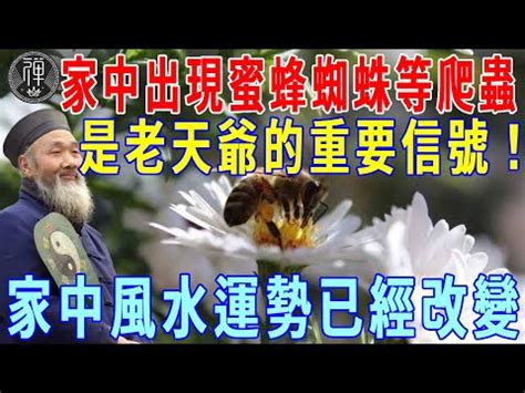 土蜂窩風水|家有蜂窩預示什麼風水？千萬別把危險留在家中！